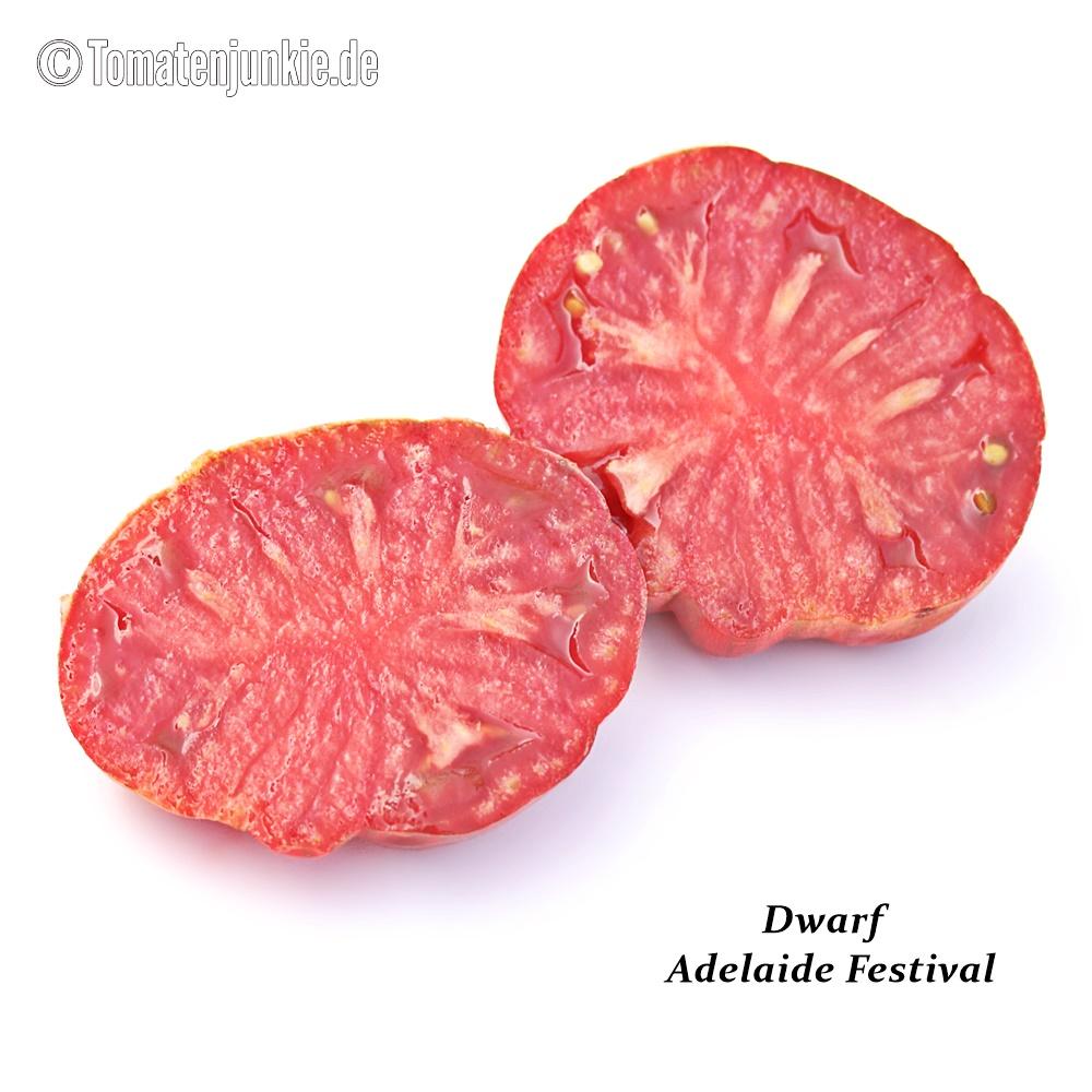 Dwarf Adelaide Festival – Bild 3