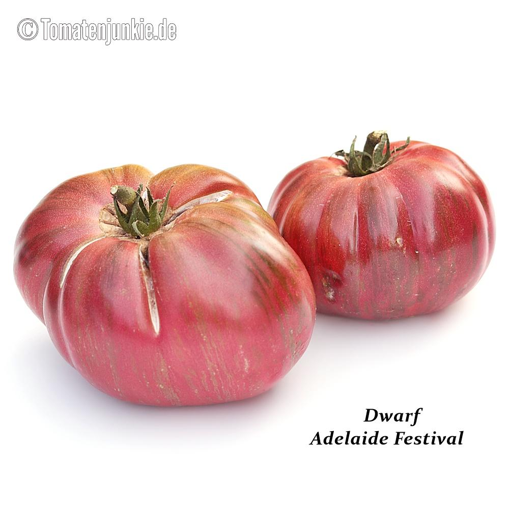 Dwarf Adelaide Festival – Bild 4