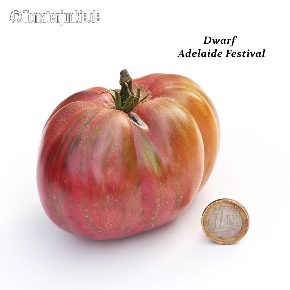 Dwarf Adelaide Festival – Bild 2