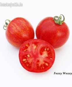 Fuzzy Wuzzy